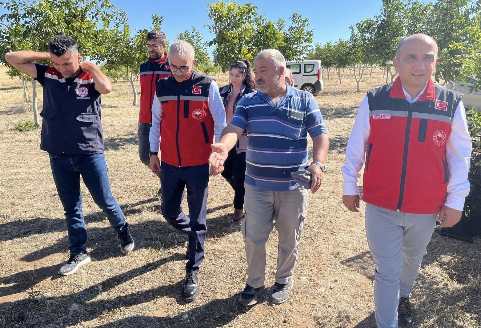 Kırşehir’de Hünnap Bahçesinde Hasat Başladı!