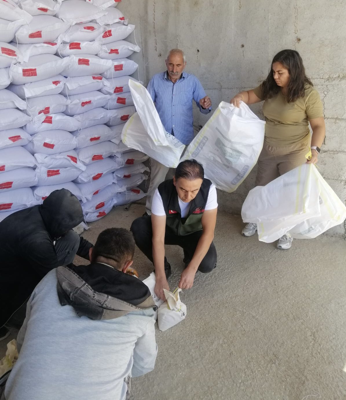 Kırşehir’de Sertifikalı Tohum Numune Alımları Gerçekleştirildi. 3