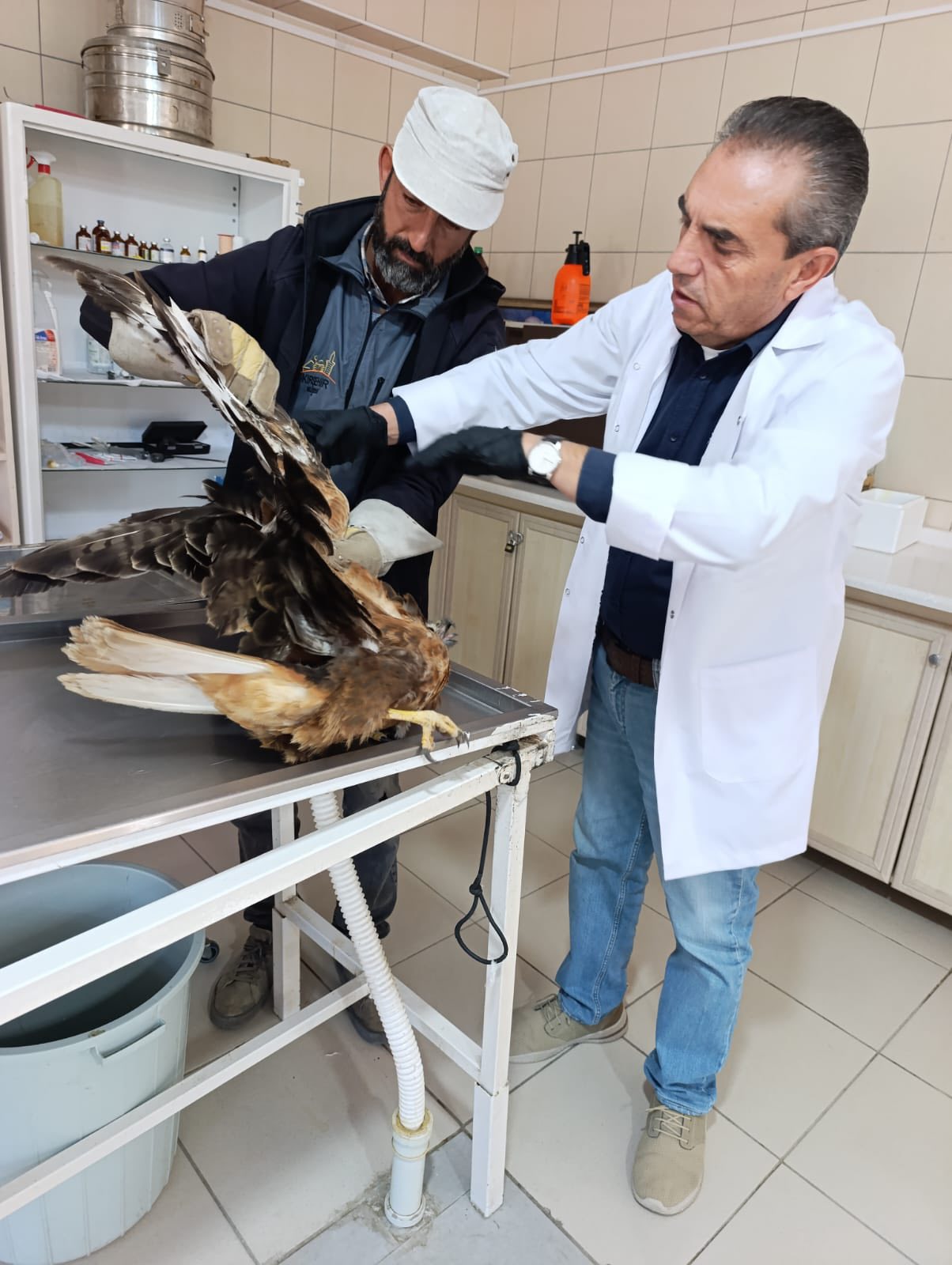 Kırşehir’de Bir Can Daha Kurtarıldı1