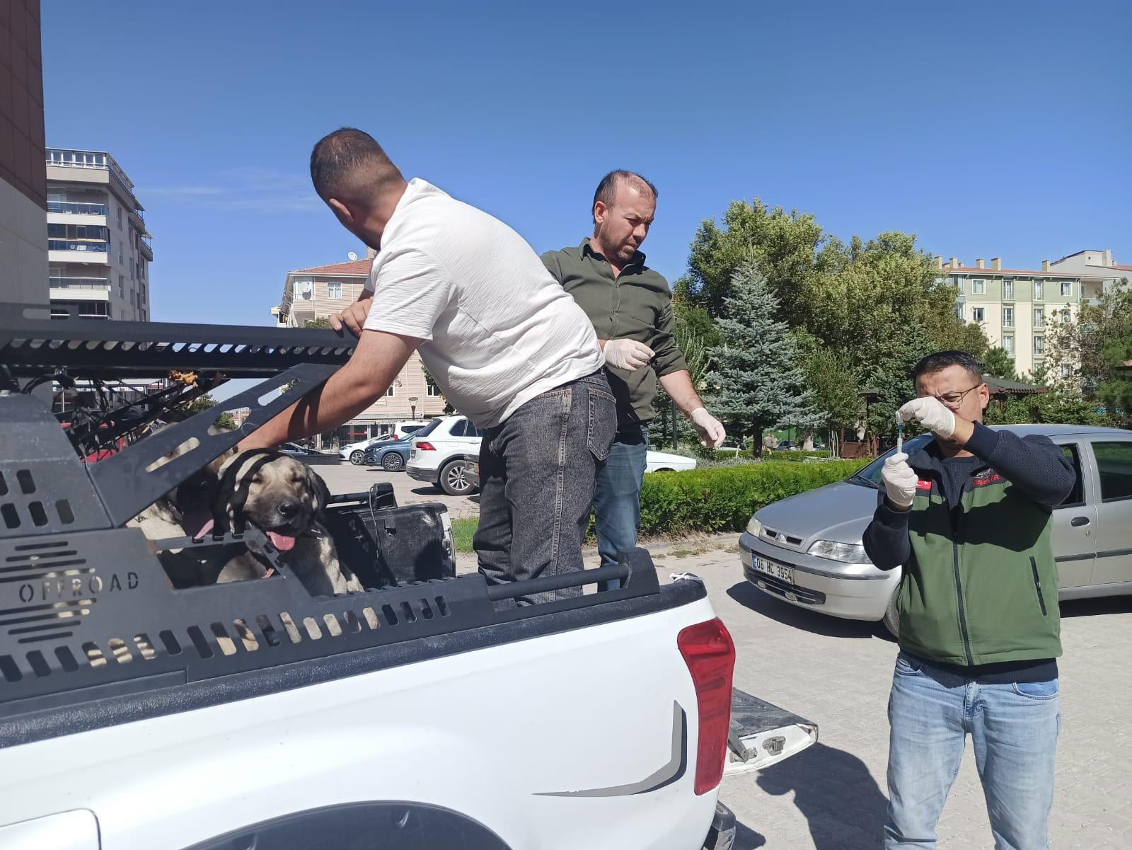 Kırşehir’de Hayvan Sağlığı Için Çalışmalar Sürüyor