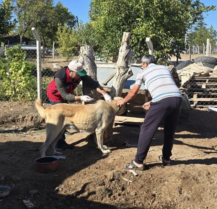 Kırşehir’de Hayvan Sağlığı Için Çalışmalar Sürüyor1