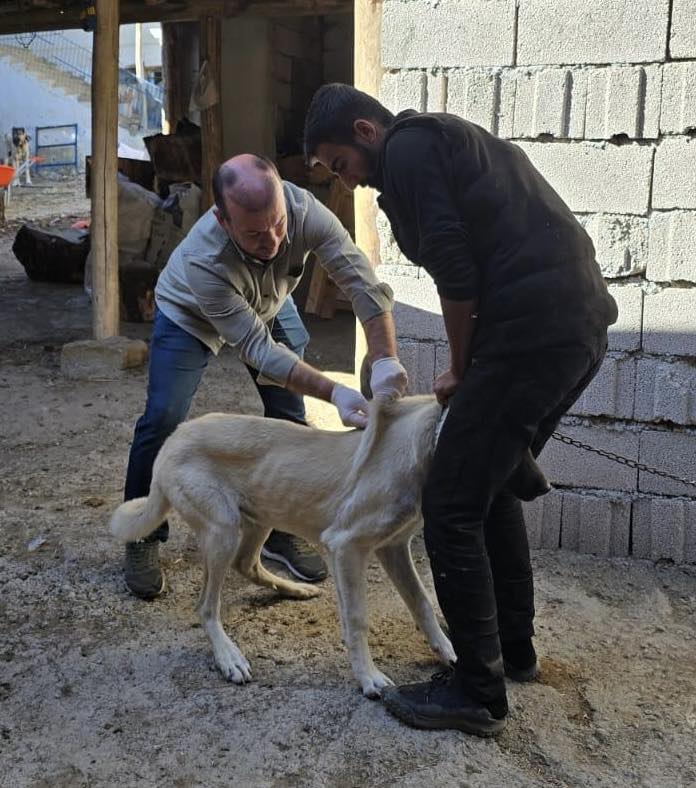 Kırşehir’de Hayvan Sağlığı Için Çalışmalar Sürüyor2