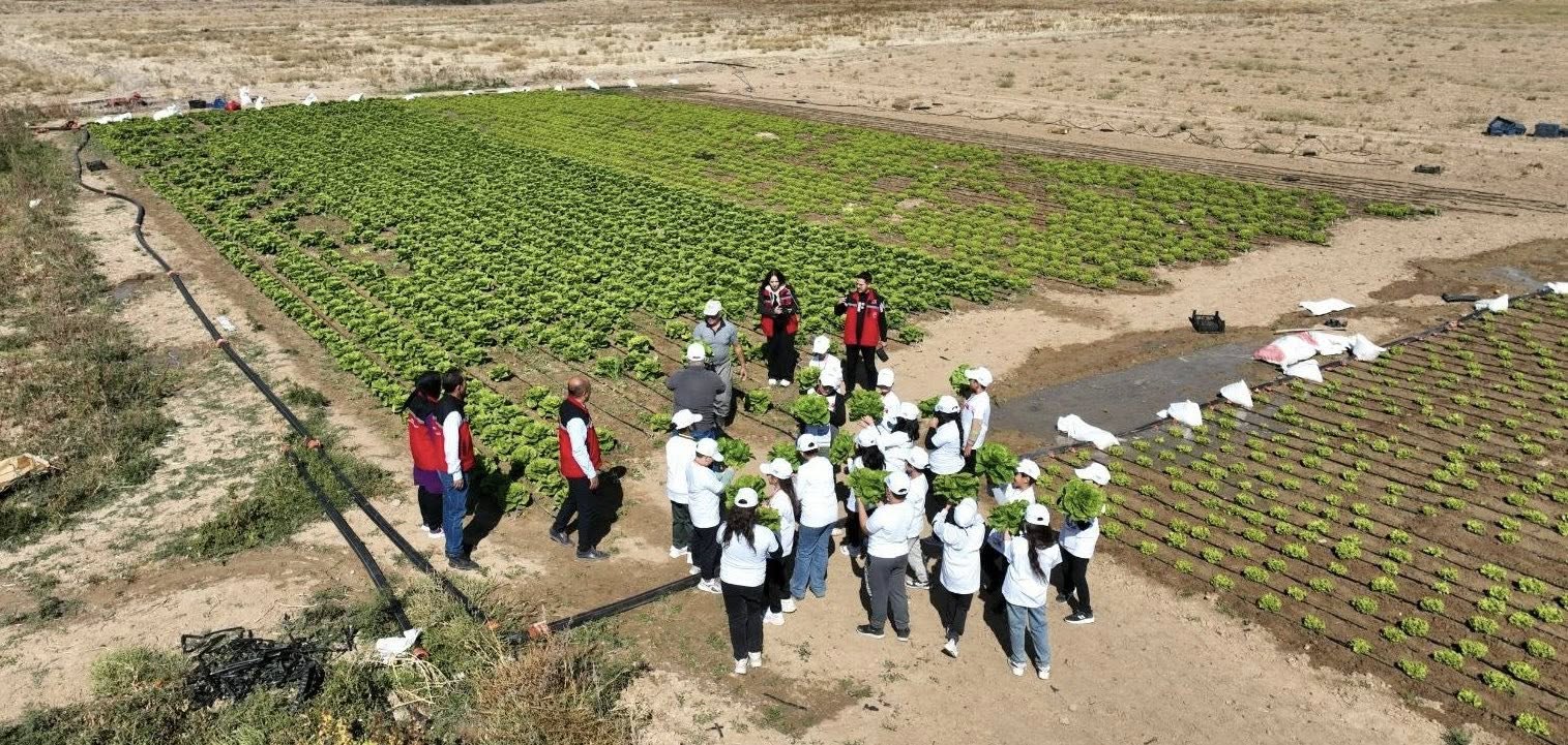 Kırşehir’de “Lider Çocuk Tarım Kampı”Yla Minikler Tarımla Buluştu4