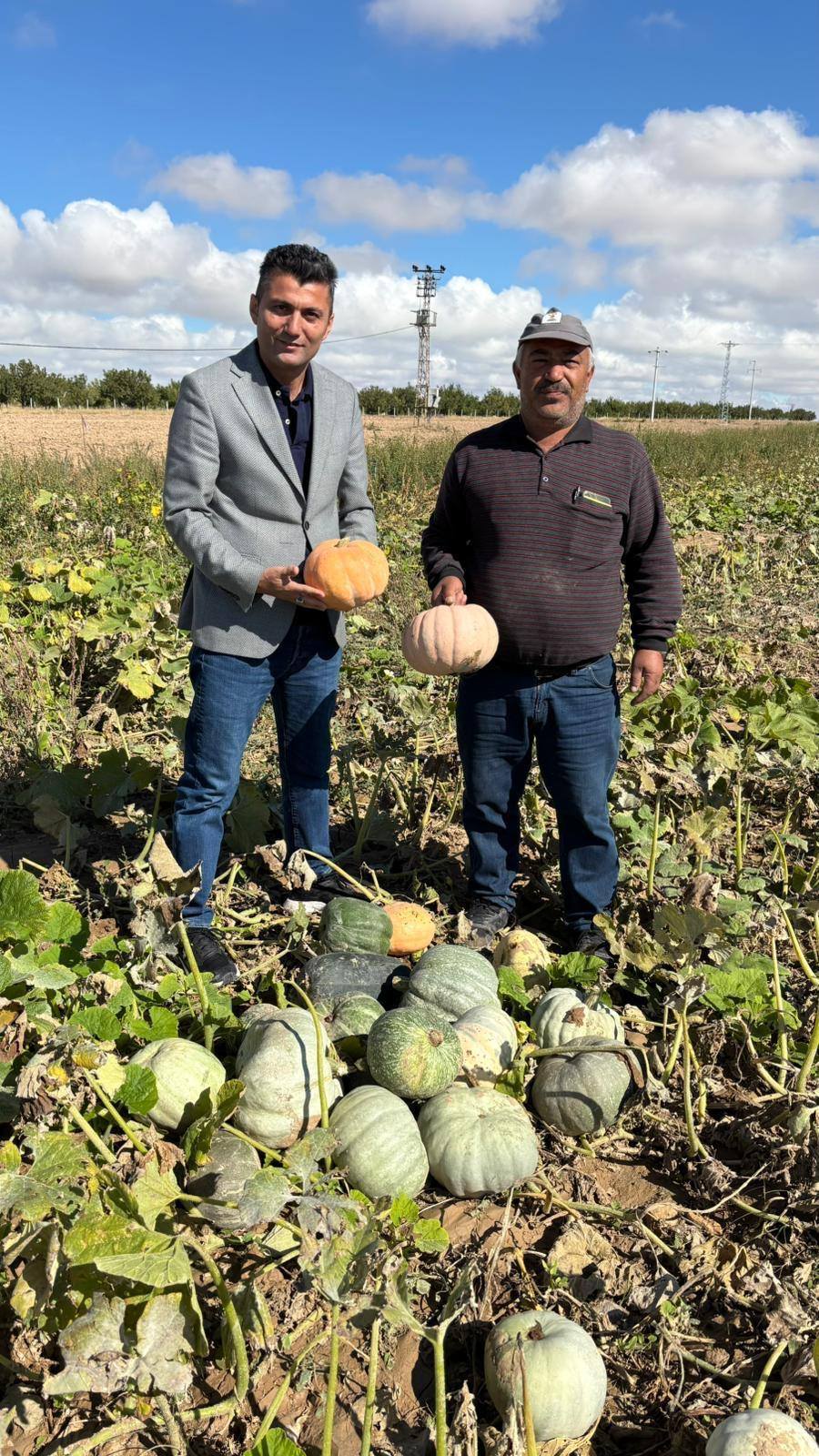 Mucur’da Kabak Hasadı Bereketli Geçti