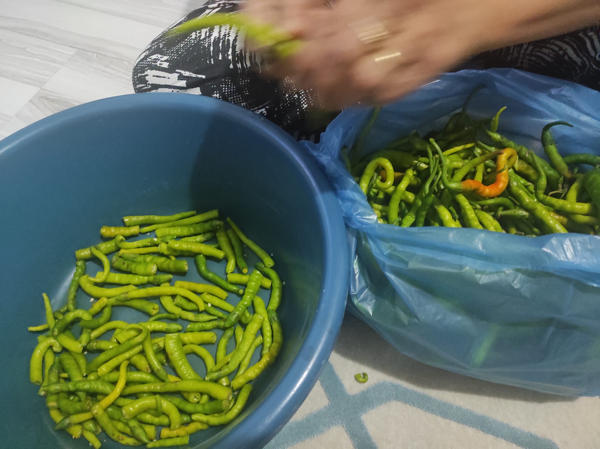 Whatsapp Image 2025 10 02 At 10.59.25