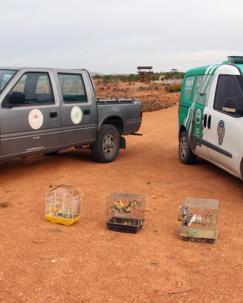 Yasadışı Kuş Deposu Ortaya Çıkarıldı