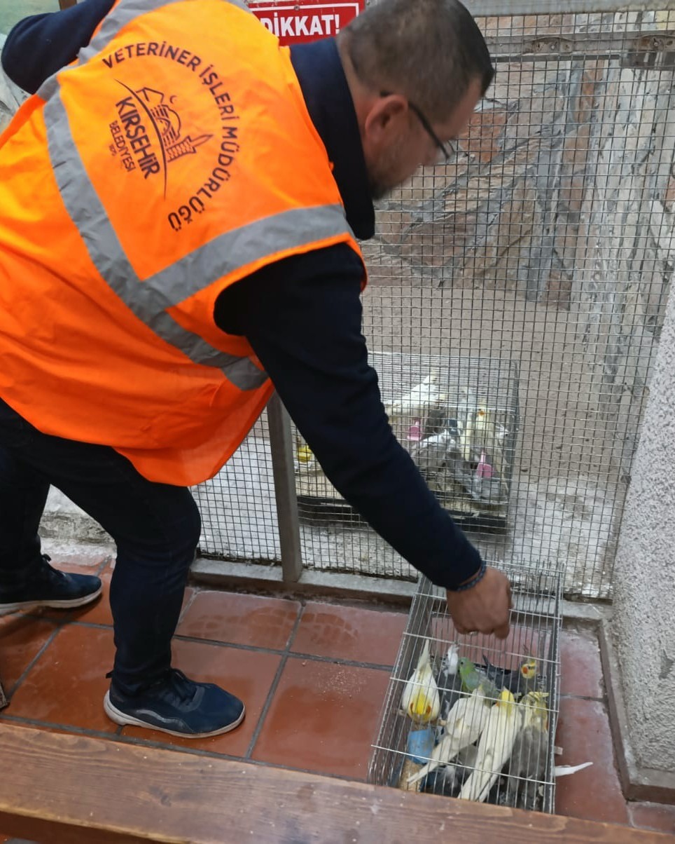 Yasadışı Kuş Deposu Ortaya Çıkarıldı3