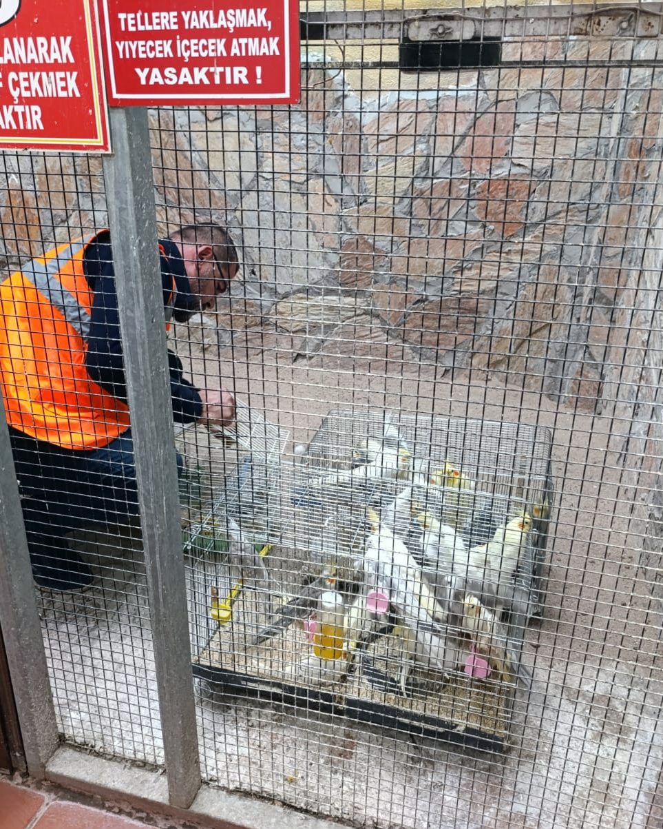 Yasadışı Kuş Deposu Ortaya Çıkarıldı4