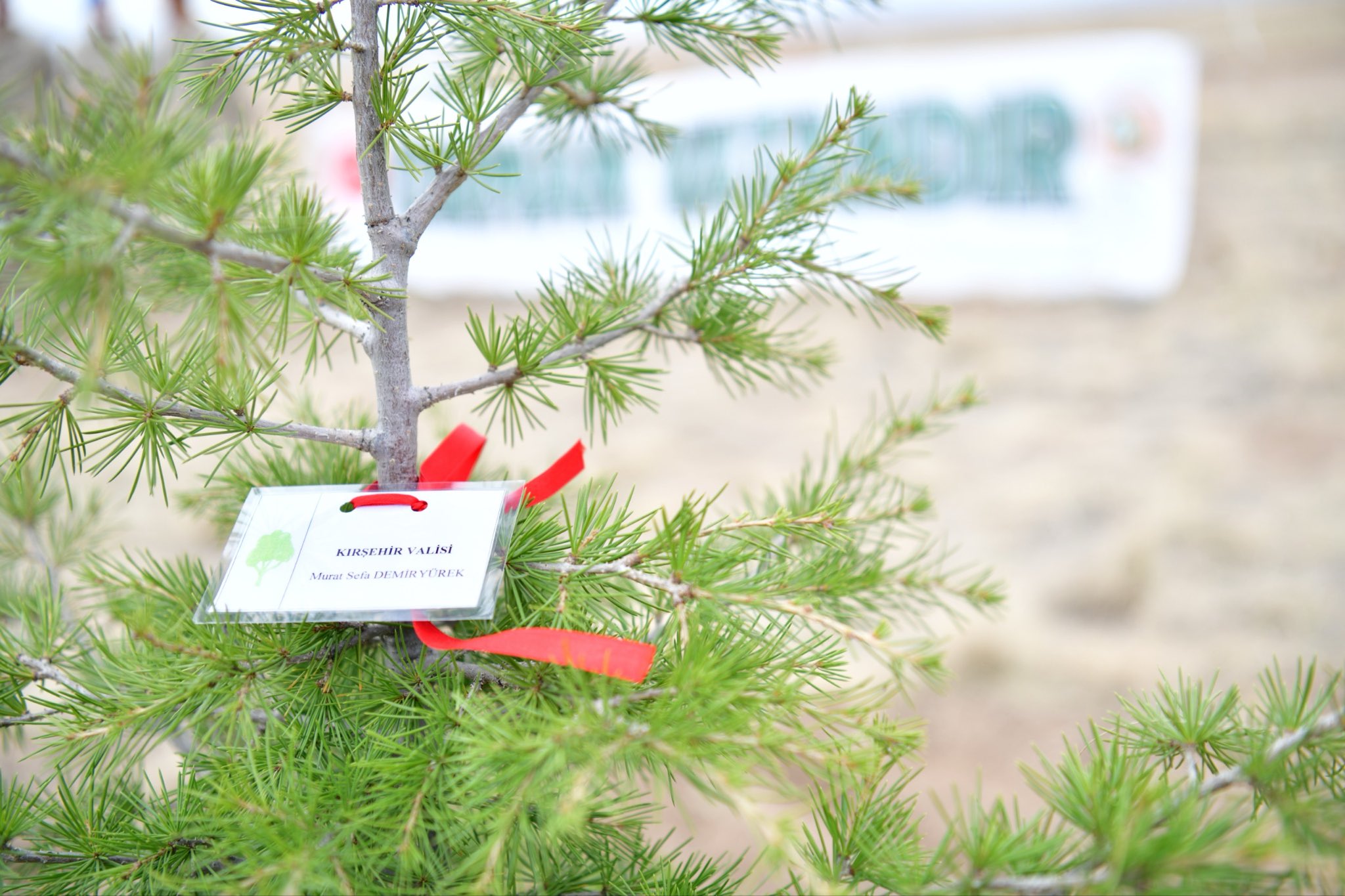 Boztepe’de 250 Fidan Toprakla Buluştu2