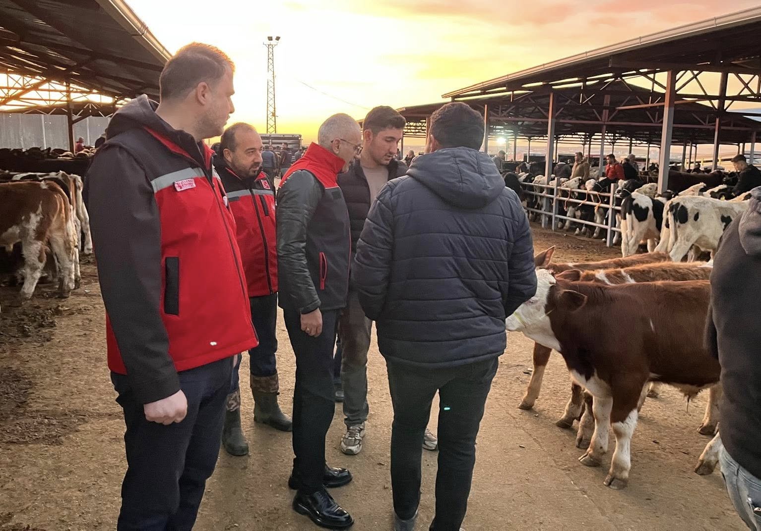 Kırşehir’de Hayvancılık Çalışmaları Yerinde Görüldü2