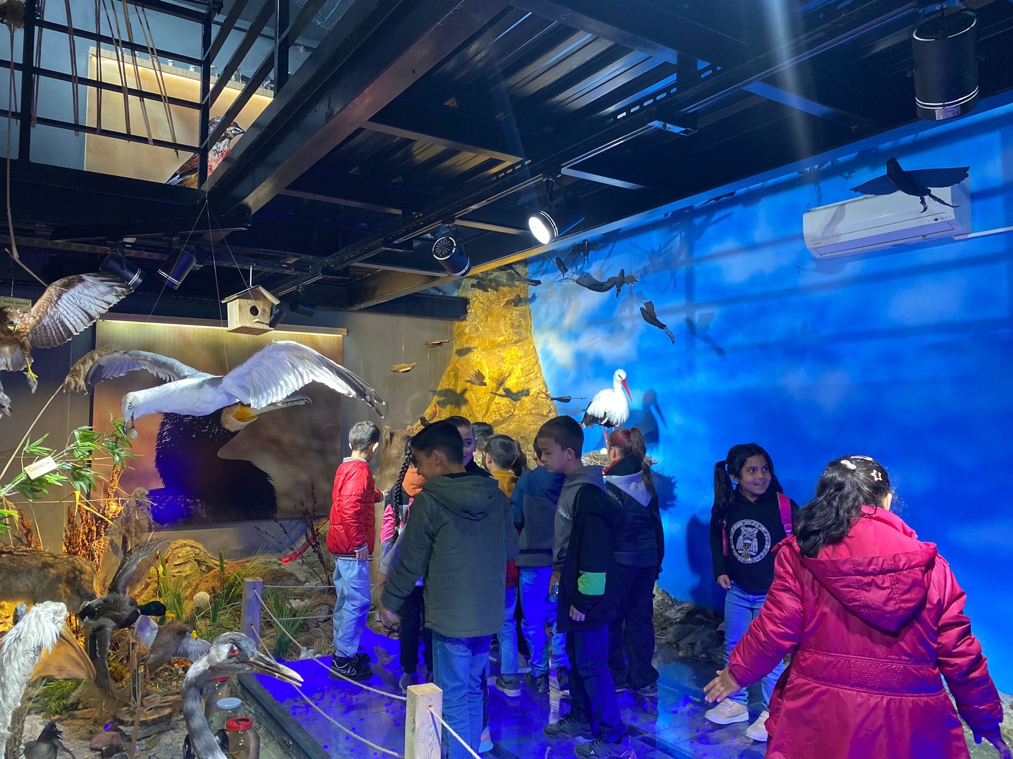 Kırşehir’de Kuş Sesleri Arasında Bir Eğitim Yolculuğu3