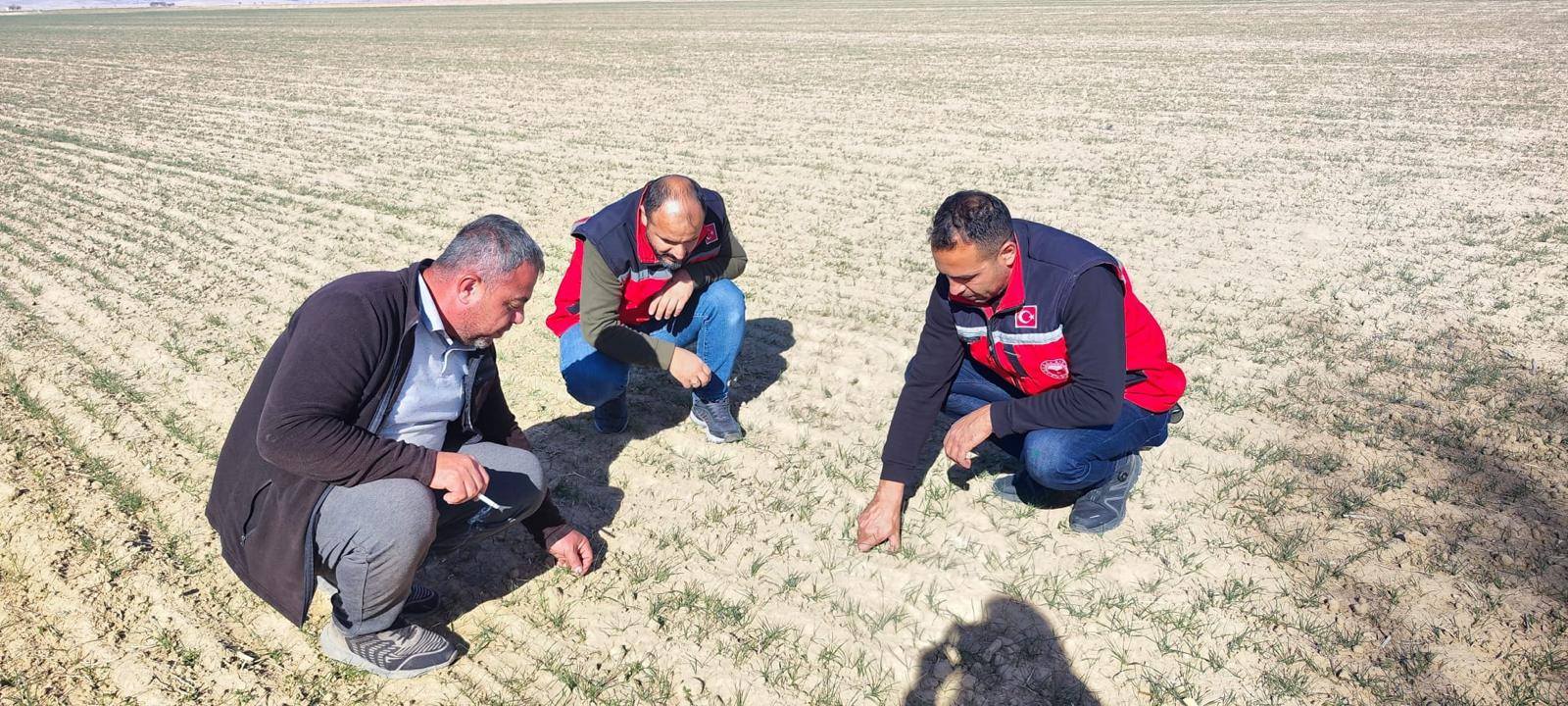 Kırşehir’de Tarımda Denetim Ve Bilgilendirme Atağı1