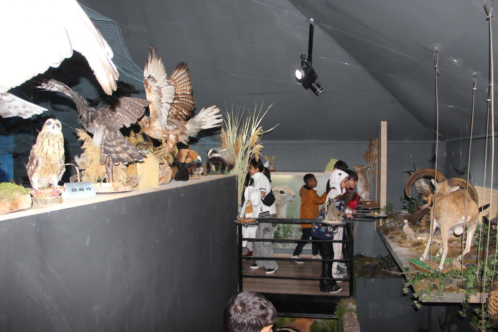 Yaban Hayatını Keşfeden Çocukların Yüzü Güldü2