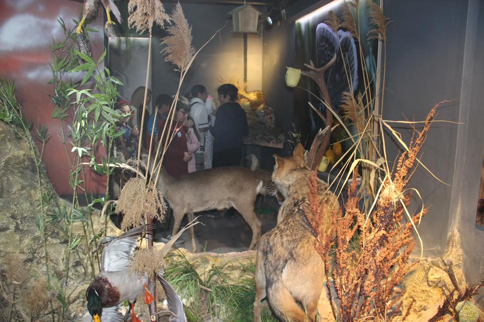 Yaban Hayatını Keşfeden Çocukların Yüzü Güldü3