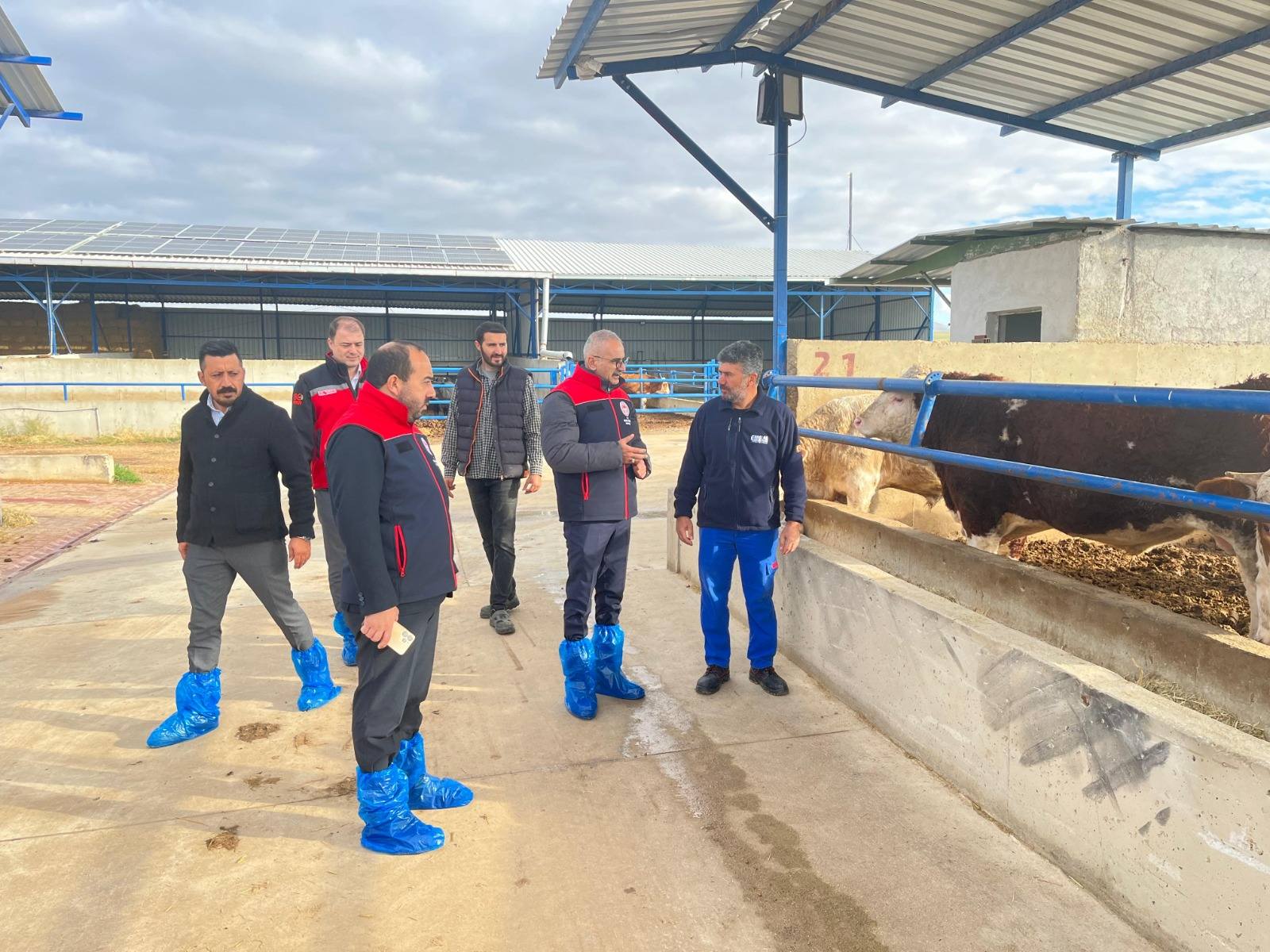 Kırşehir’de Hayvancılık Işletmelerine İl Müdür’ü Taş’tan Ziyaret