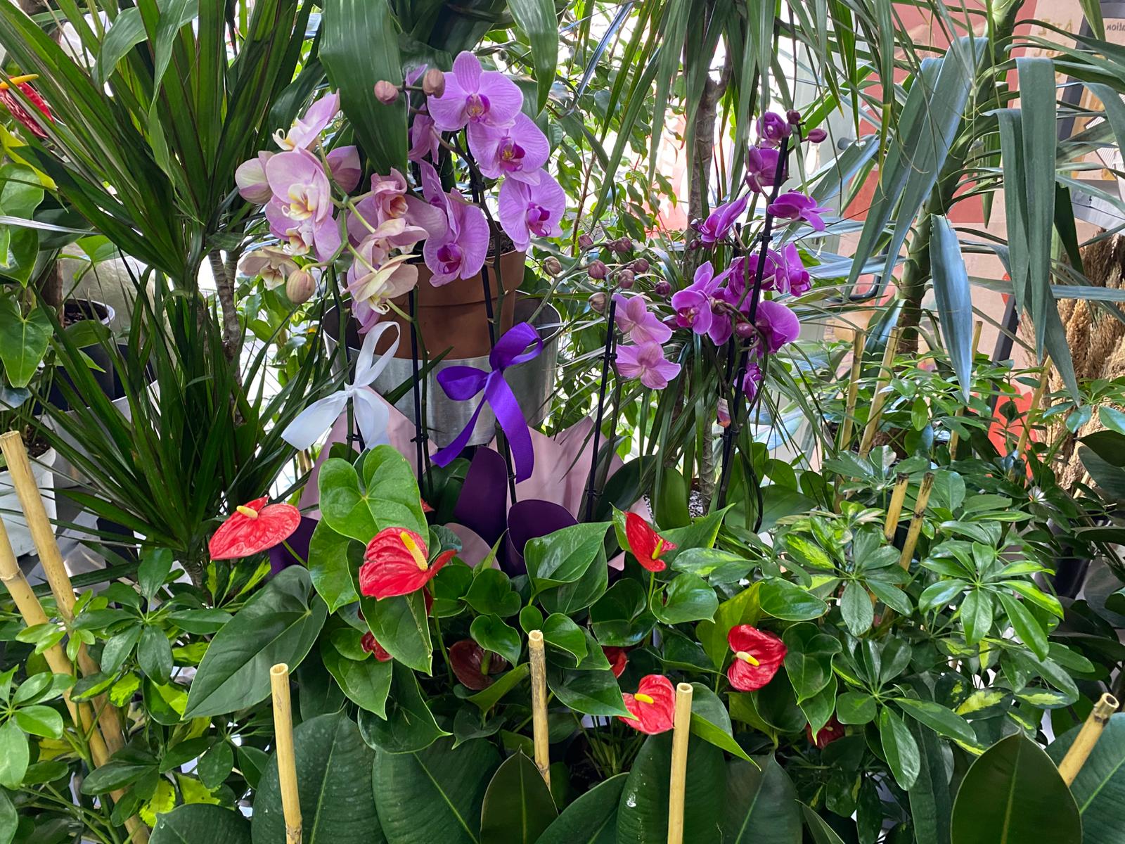 Whatsapp Image 2025 12 02 At 12.12.20