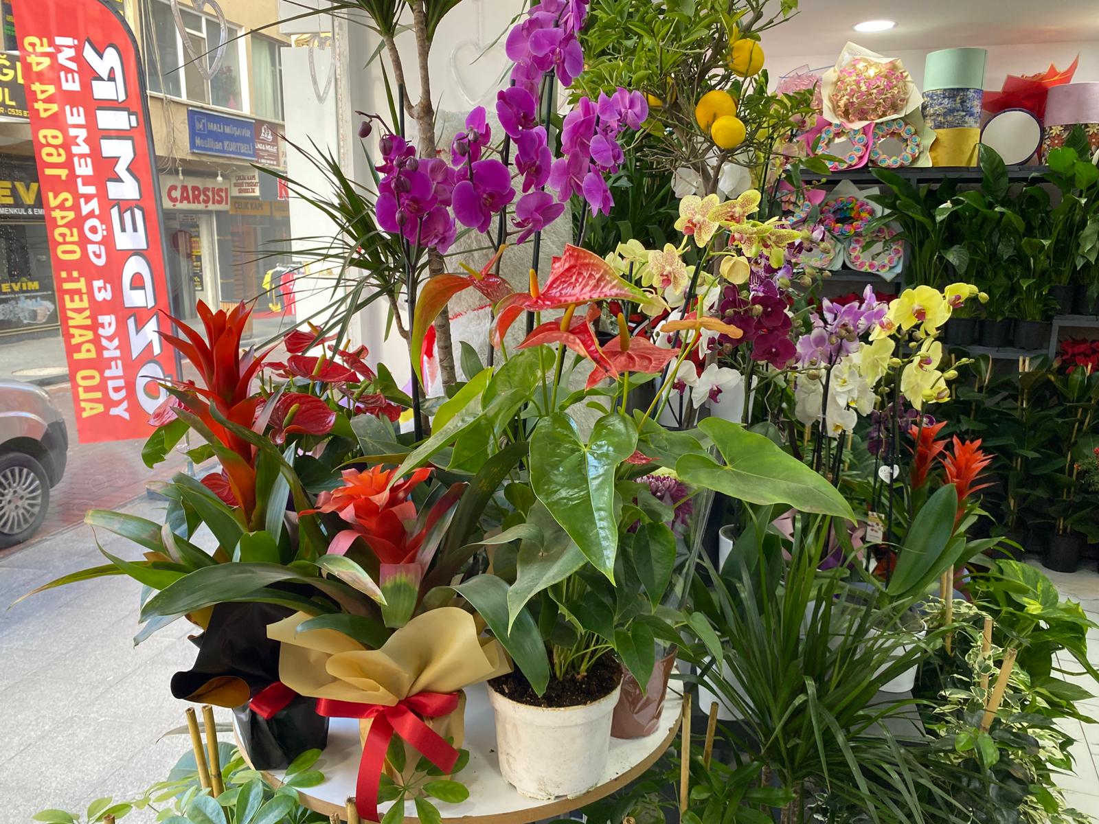 Whatsapp Image 2025 12 02 At 12.12.22