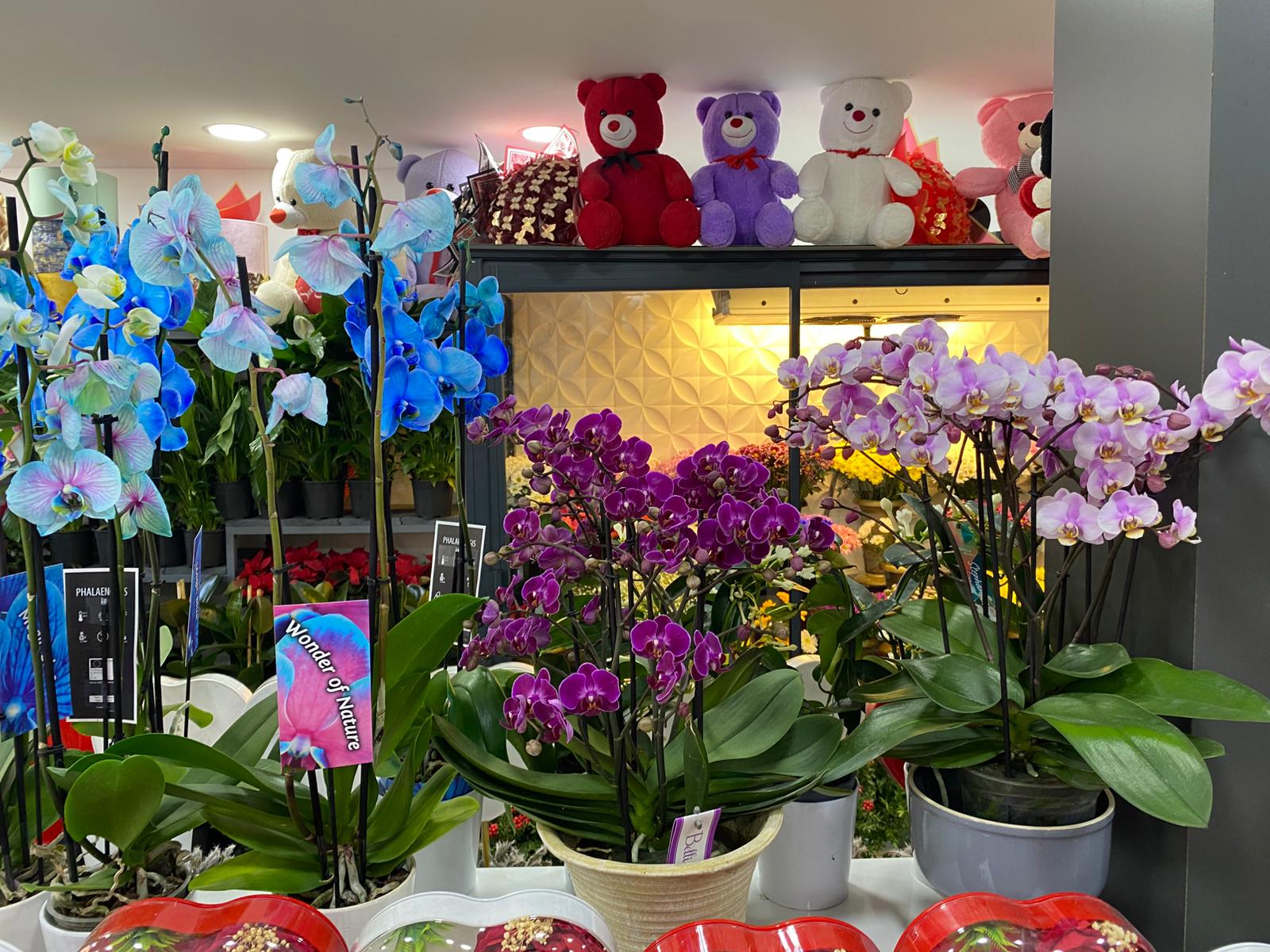 Whatsapp Image 2025 12 02 At 12.12.23