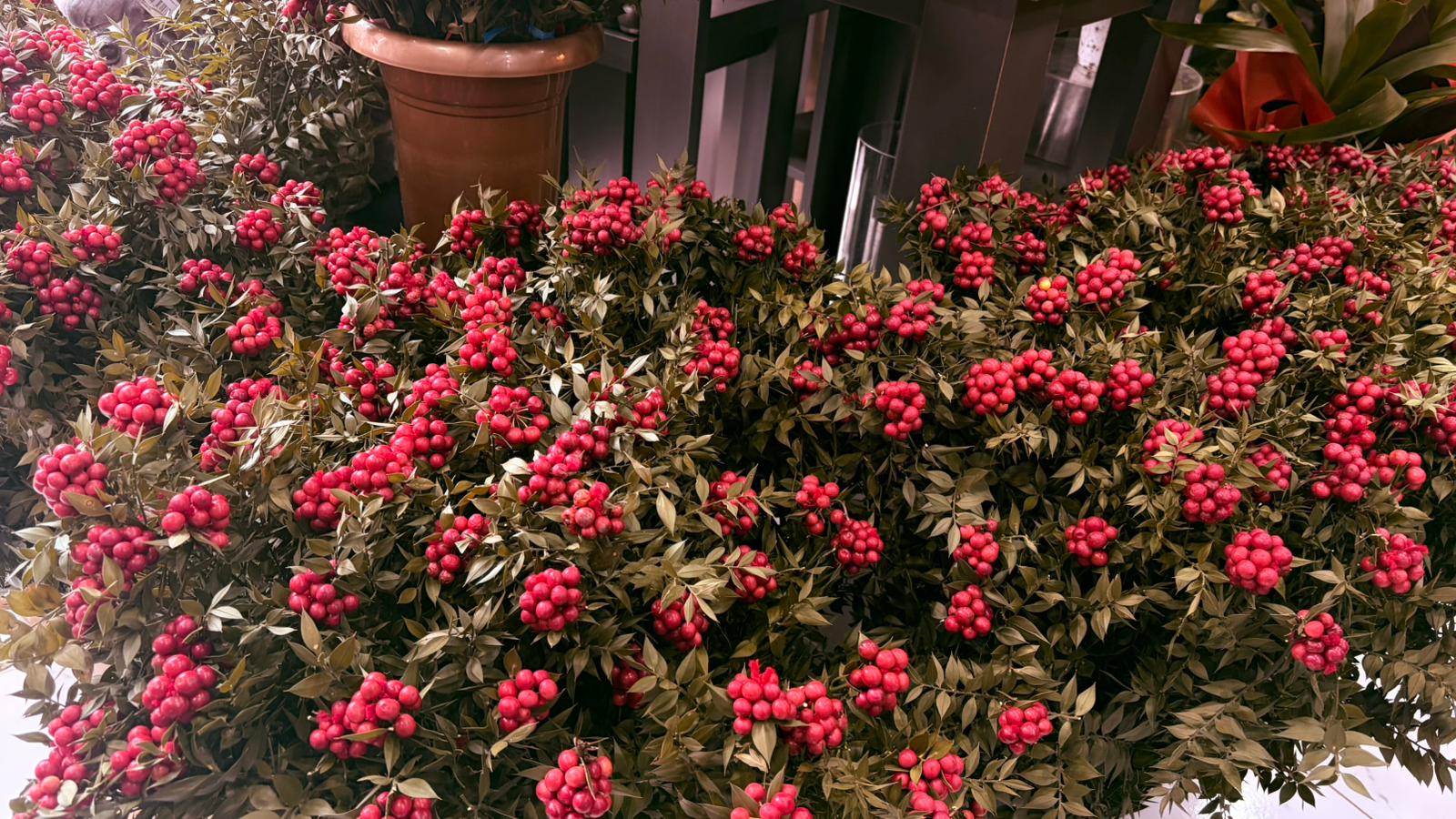 Whatsapp Image 2025 12 23 At 13.09.27 (1)