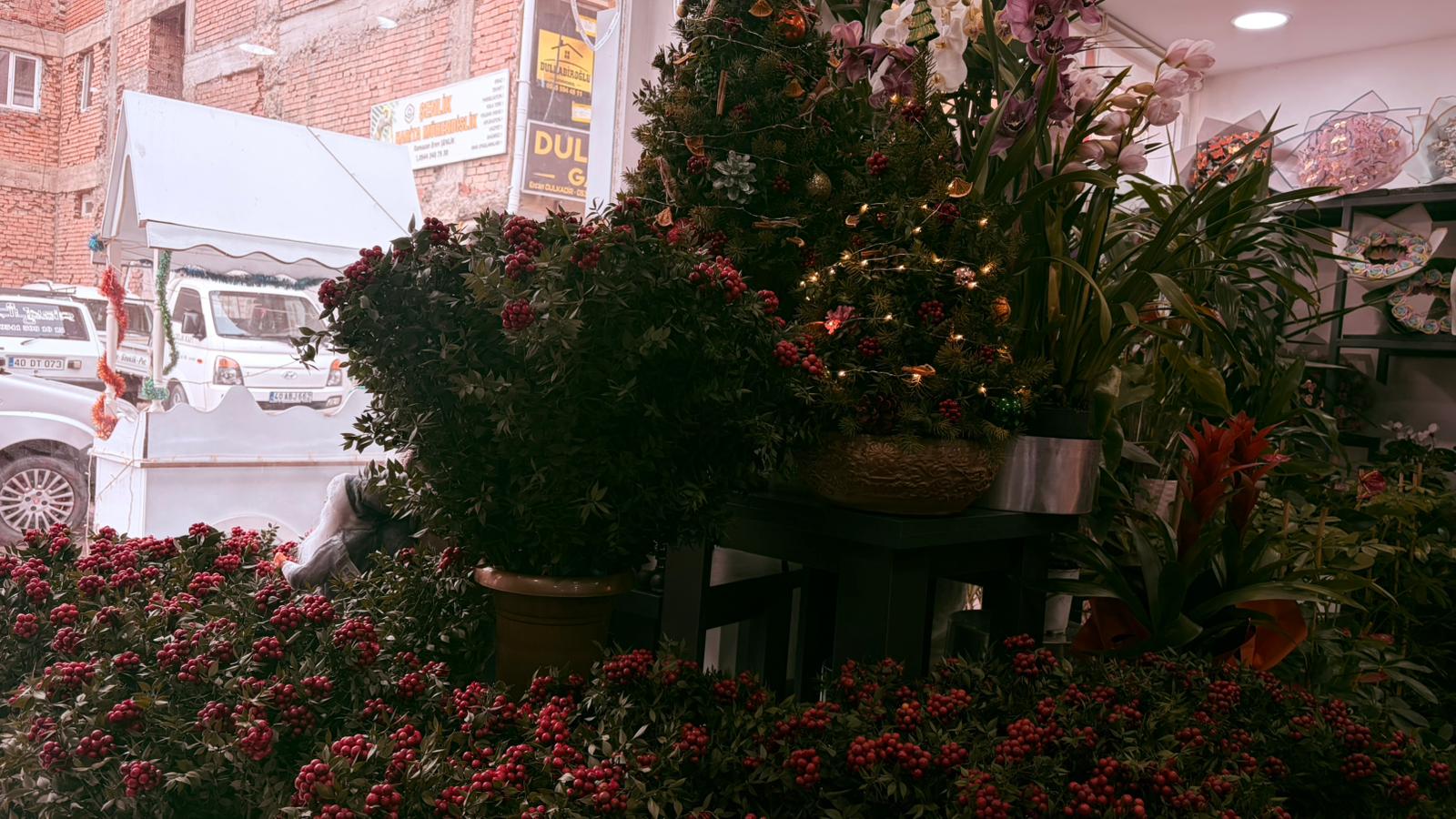 Whatsapp Image 2025 12 23 At 13.09.27