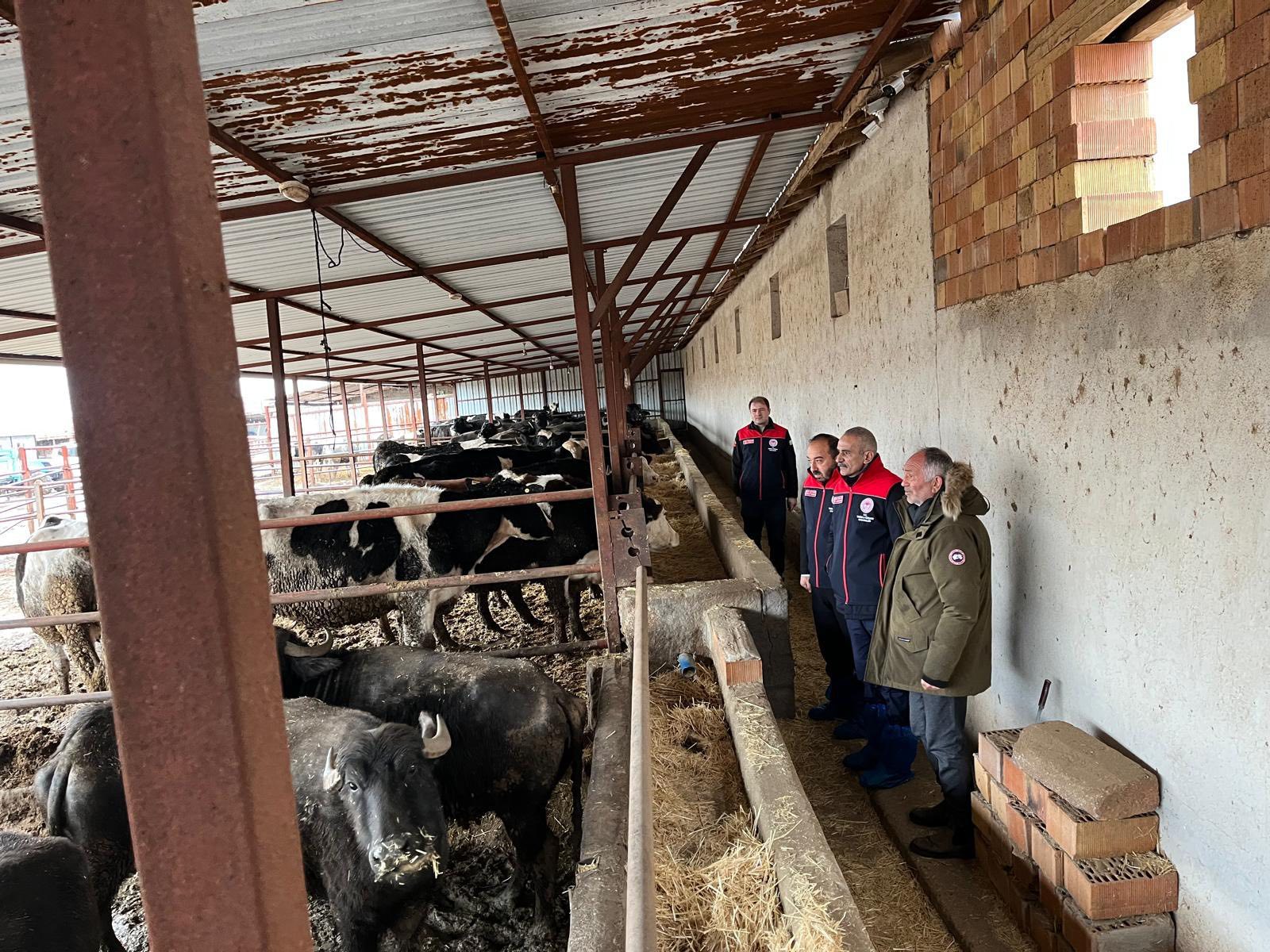 Kırşehir’de Hayvancılık Işletmelerine Moral Ve Destek3