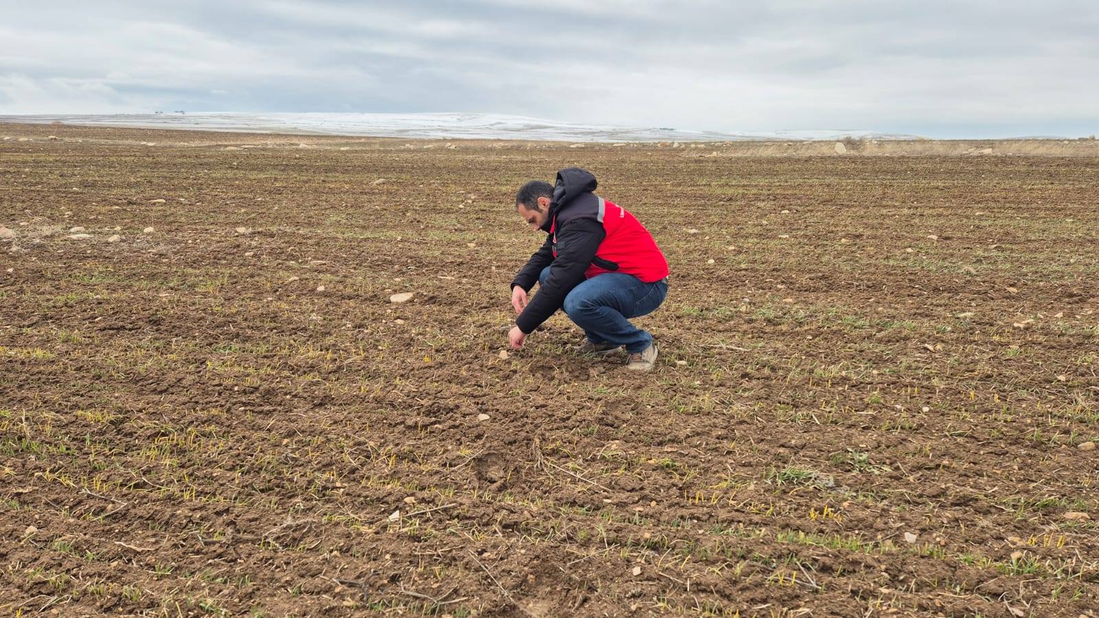 Kırşehir’de Üretim Için Titiz Çalışmalar Aralıksız Devam Ediyor2