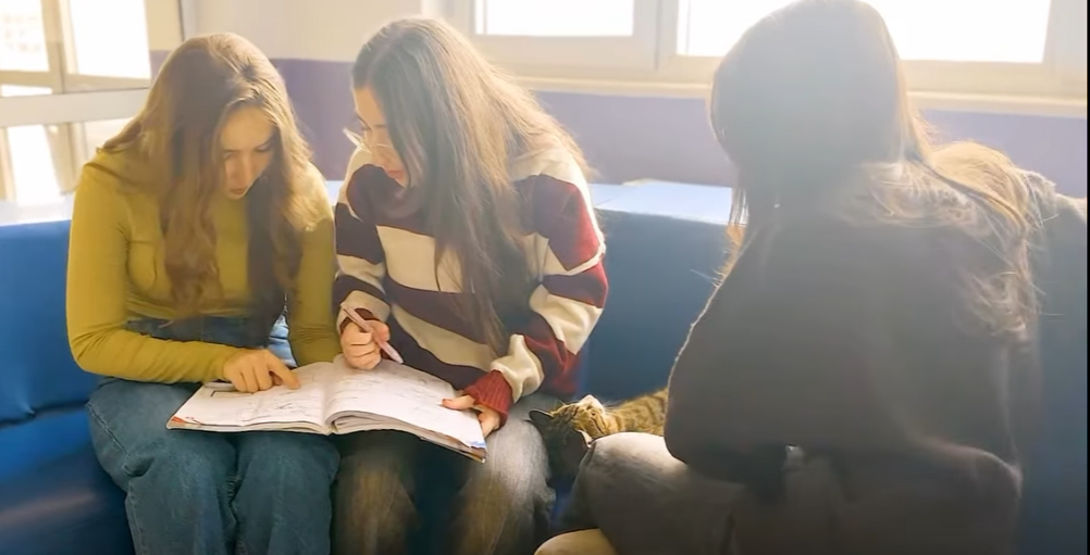 Kırşehir’deliseden Üniversiteye Yolcprojesi Başladı1