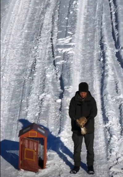 Kırşehiryaralıkızılşahin