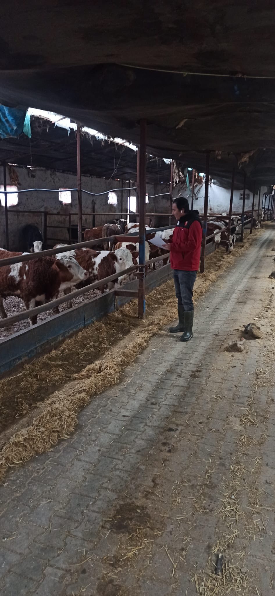 Tarım Ve Hayvancılıkta Kırşehir’de Kararlı Adımlar2