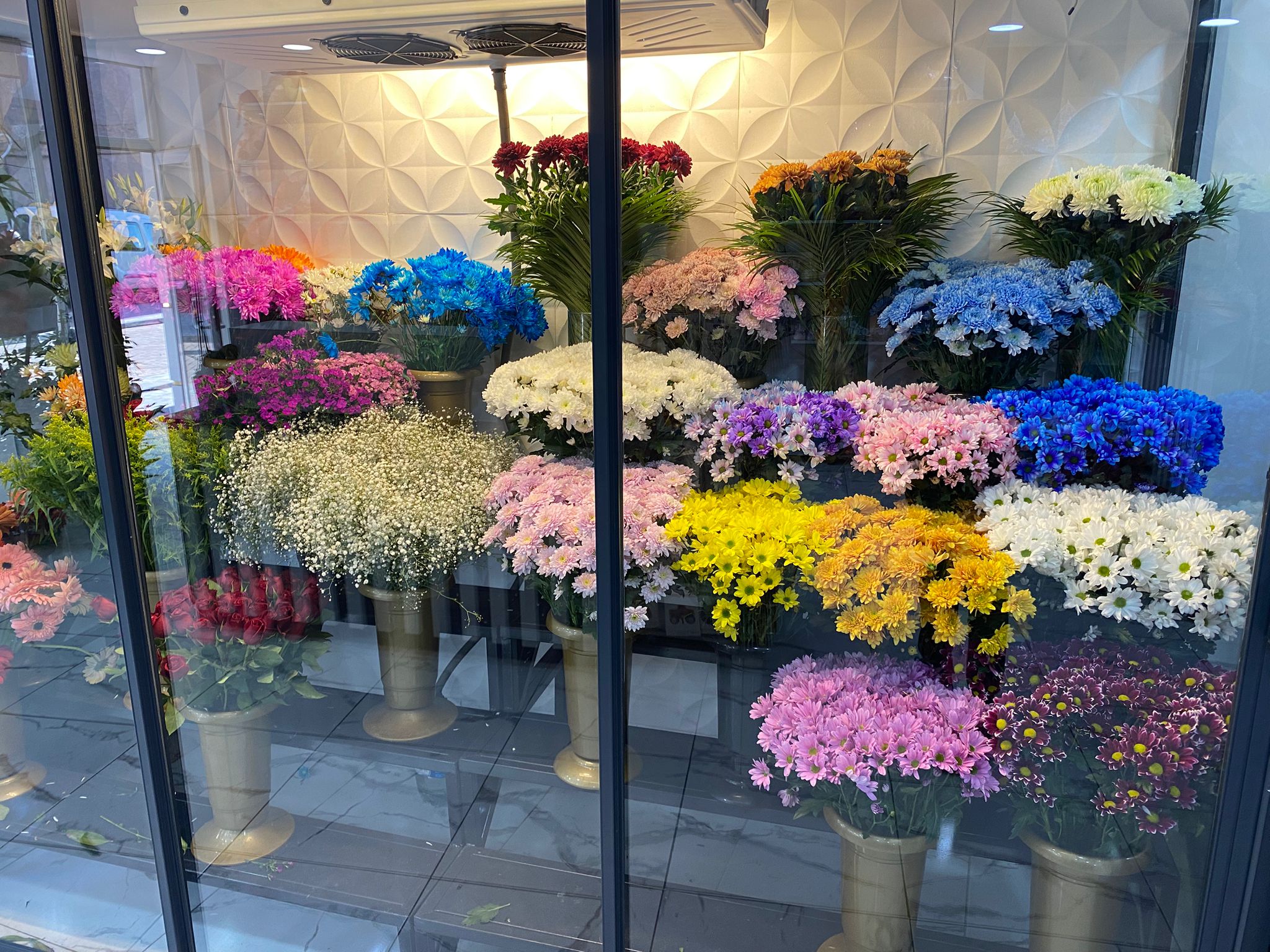 Whatsapp Image 2026 01 06 At 14.01.45