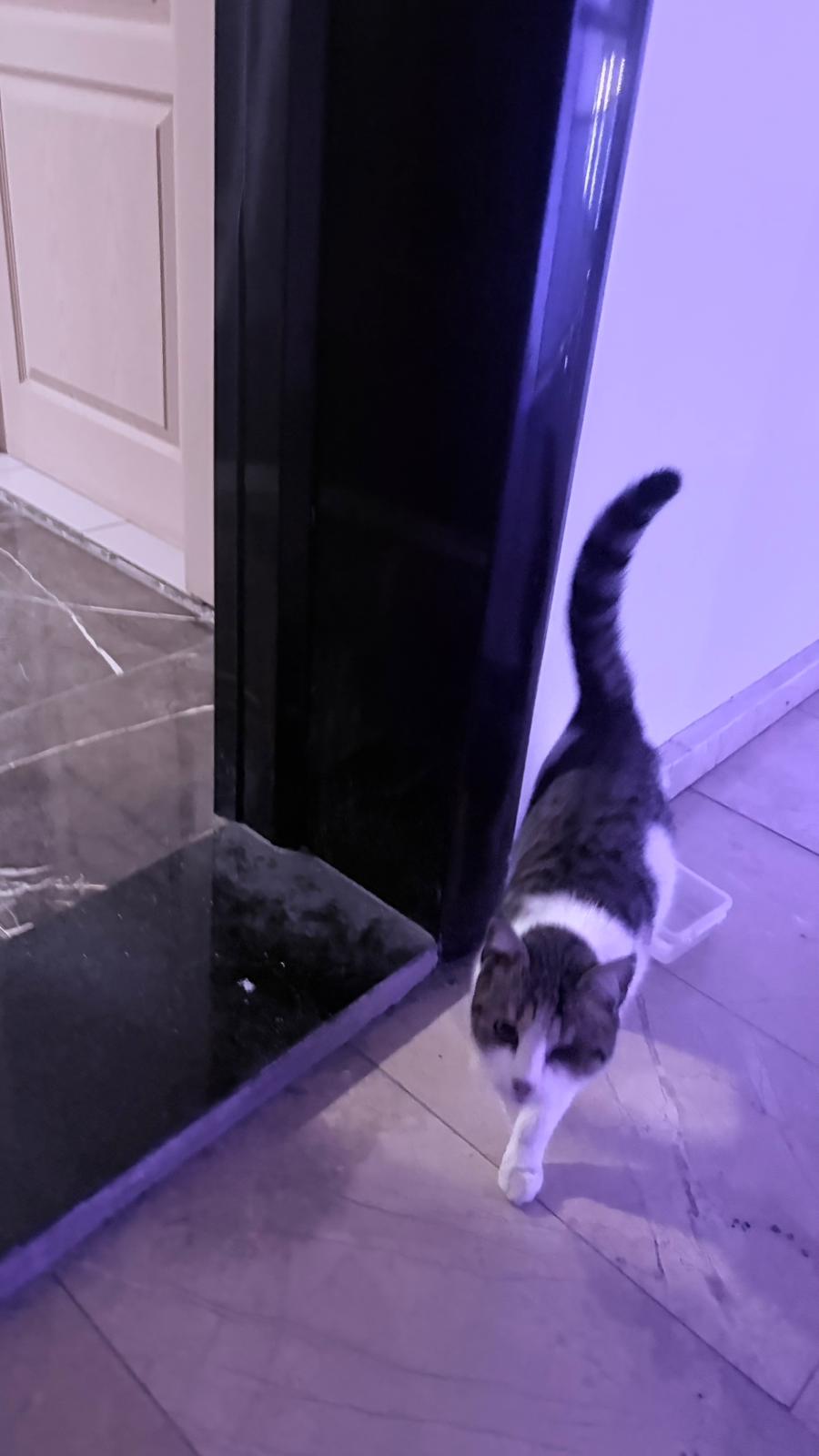 Whatsapp Image 2026 01 15 At 13.39.56