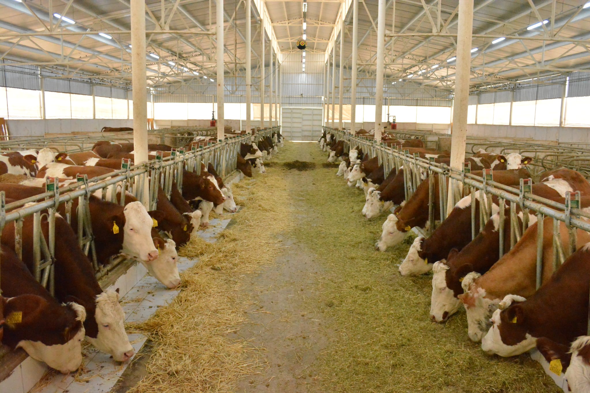 Whatsapp Image 2026 01 20 At 15.40.04 (1)