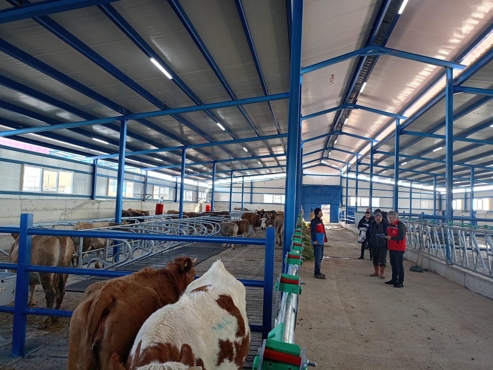 627693081 904136312091133 6178486819644561964 N