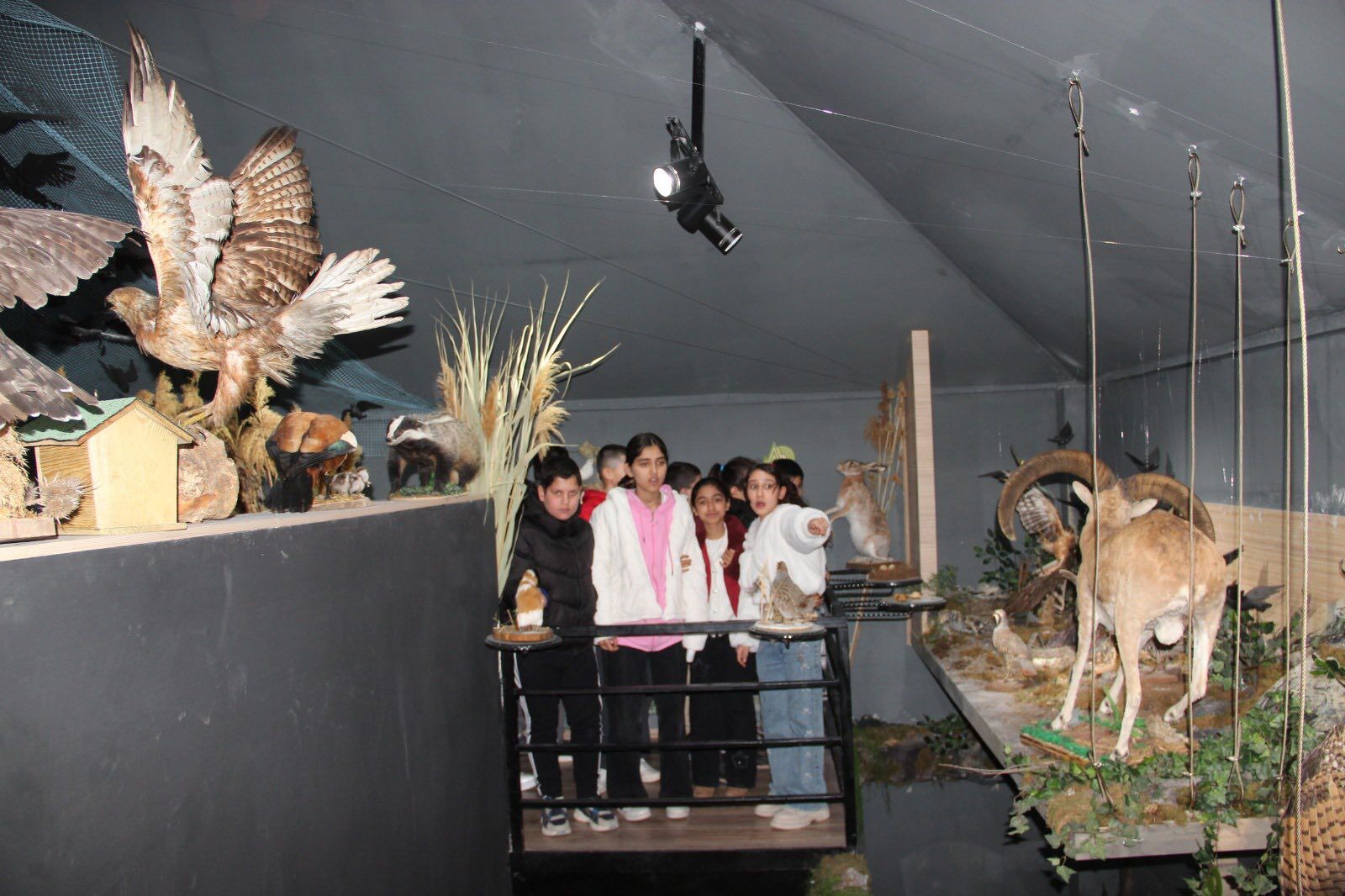 641500454 1224340963143124 8362540685226351031 N