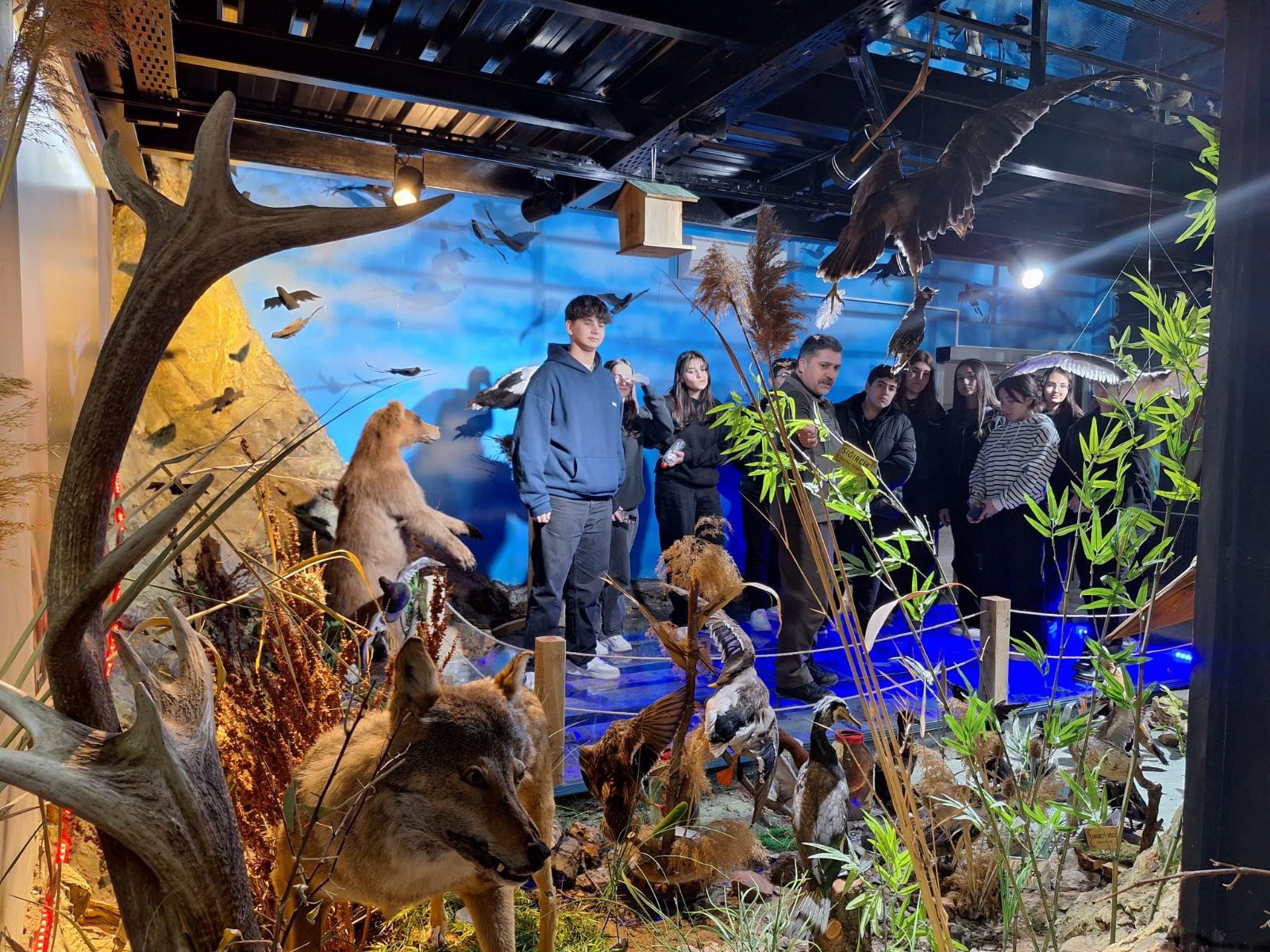 Kırşehir Lisesi Öğrencileri Doğayla Iç Içe Bir Gün Geçirdi