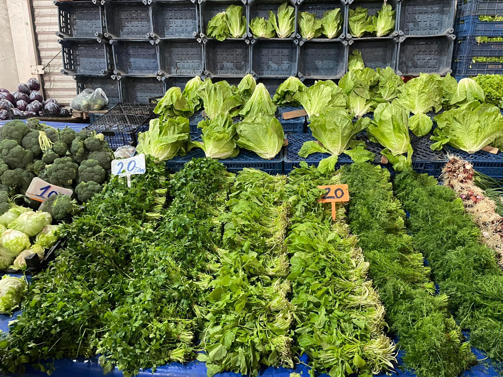 Whatsapp Image 2026 02 02 At 15.07.25