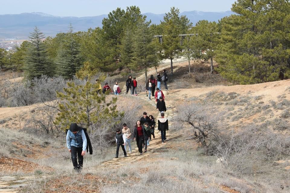 645567669 1229174622659758 8636025179958792334 N