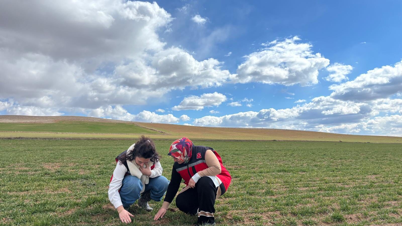Kırşehir Genelinde Bitki Gelişimi Yakından Izleniyor