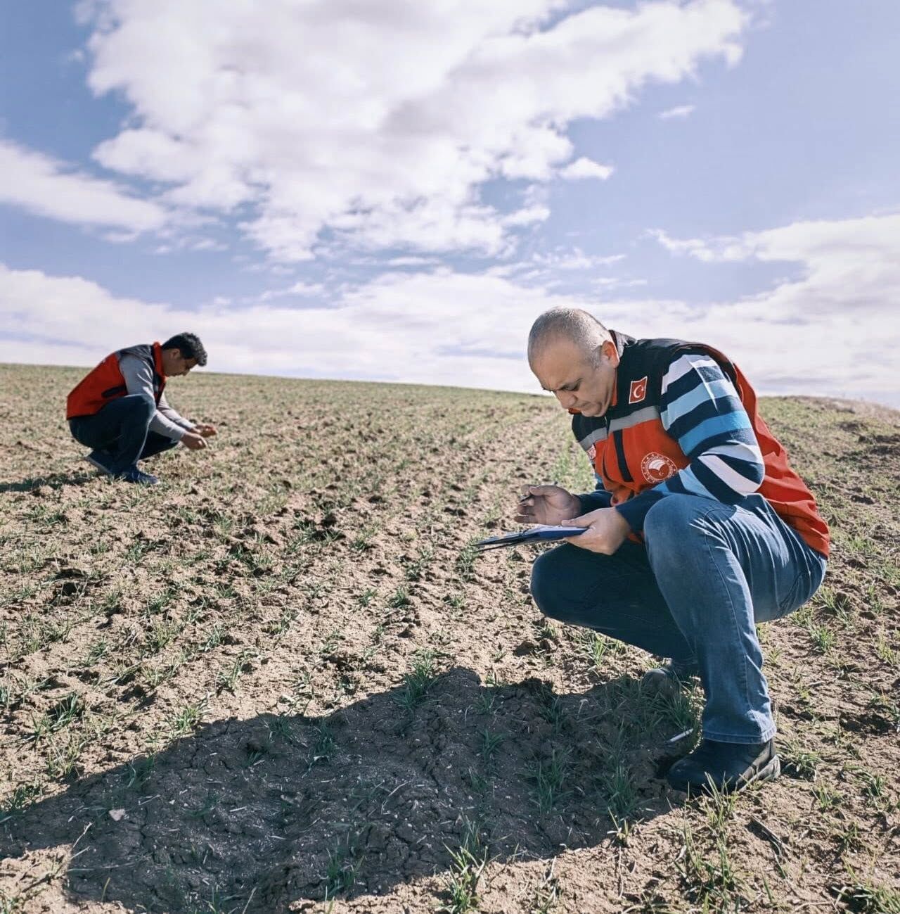 Kırşehir Genelinde Bitki Gelişimi Yakından Izleniyor2