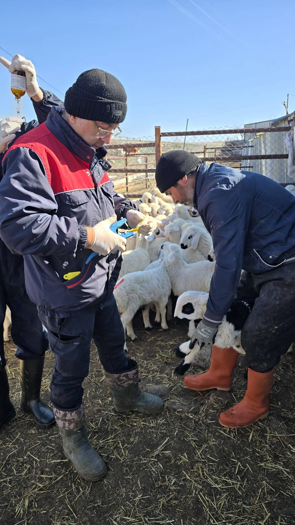 Kırşehir’de Gıda Ve Hayvan Sağlığı Için Denetimler Sürüyor1