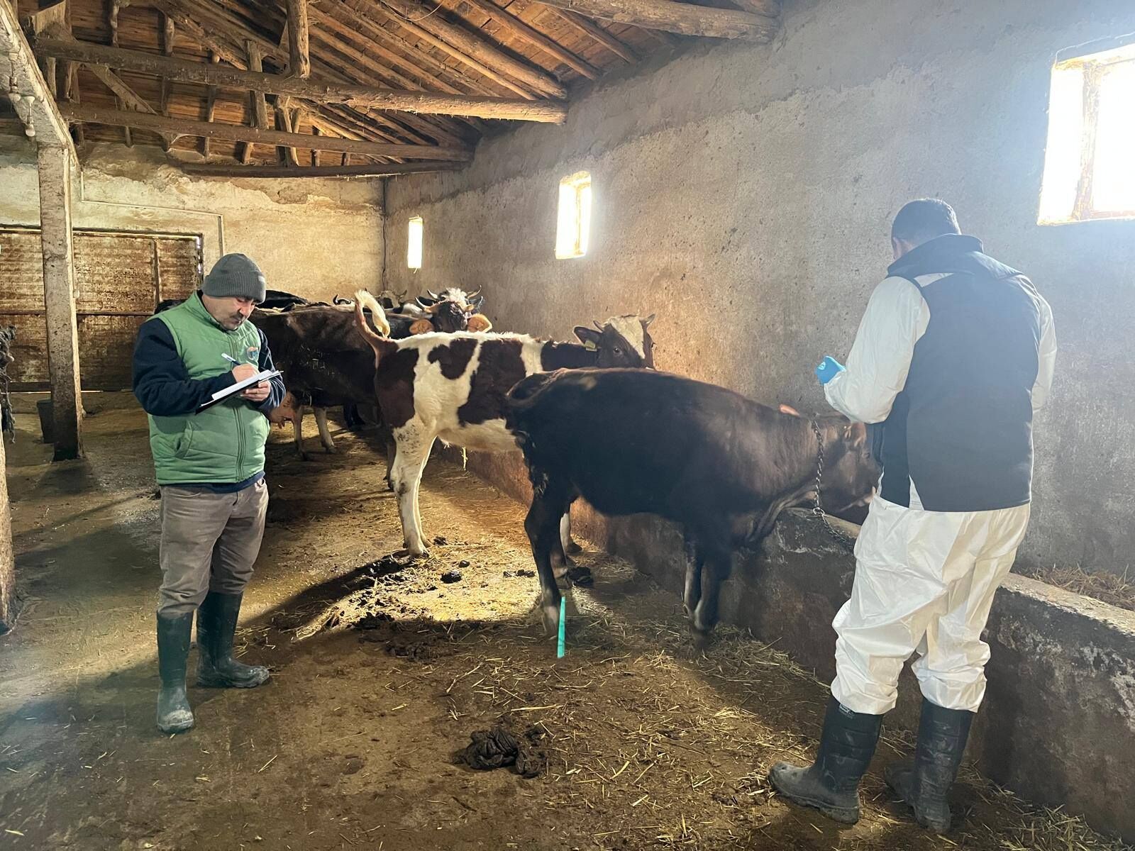 Kırşehir’de Gıda Ve Hayvan Sağlığı Için Denetimler Sürüyor3