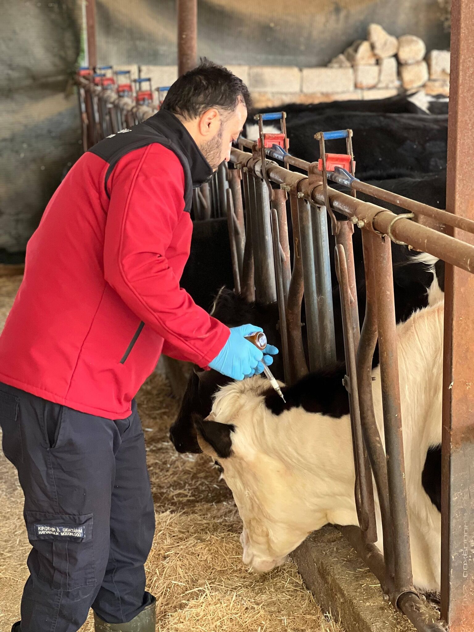 Kırşehir’de Hayvan Sağlığı Için Kararlı Adımlar