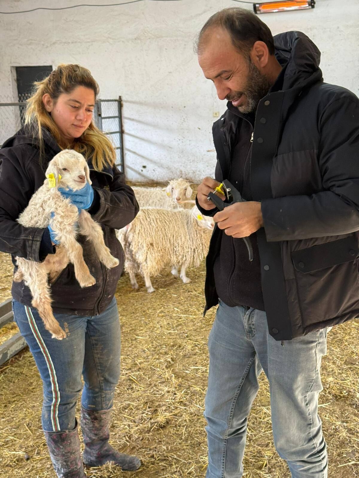 Kırşehir’de Hayvan Sağlığı Için Kararlı Adımlar1