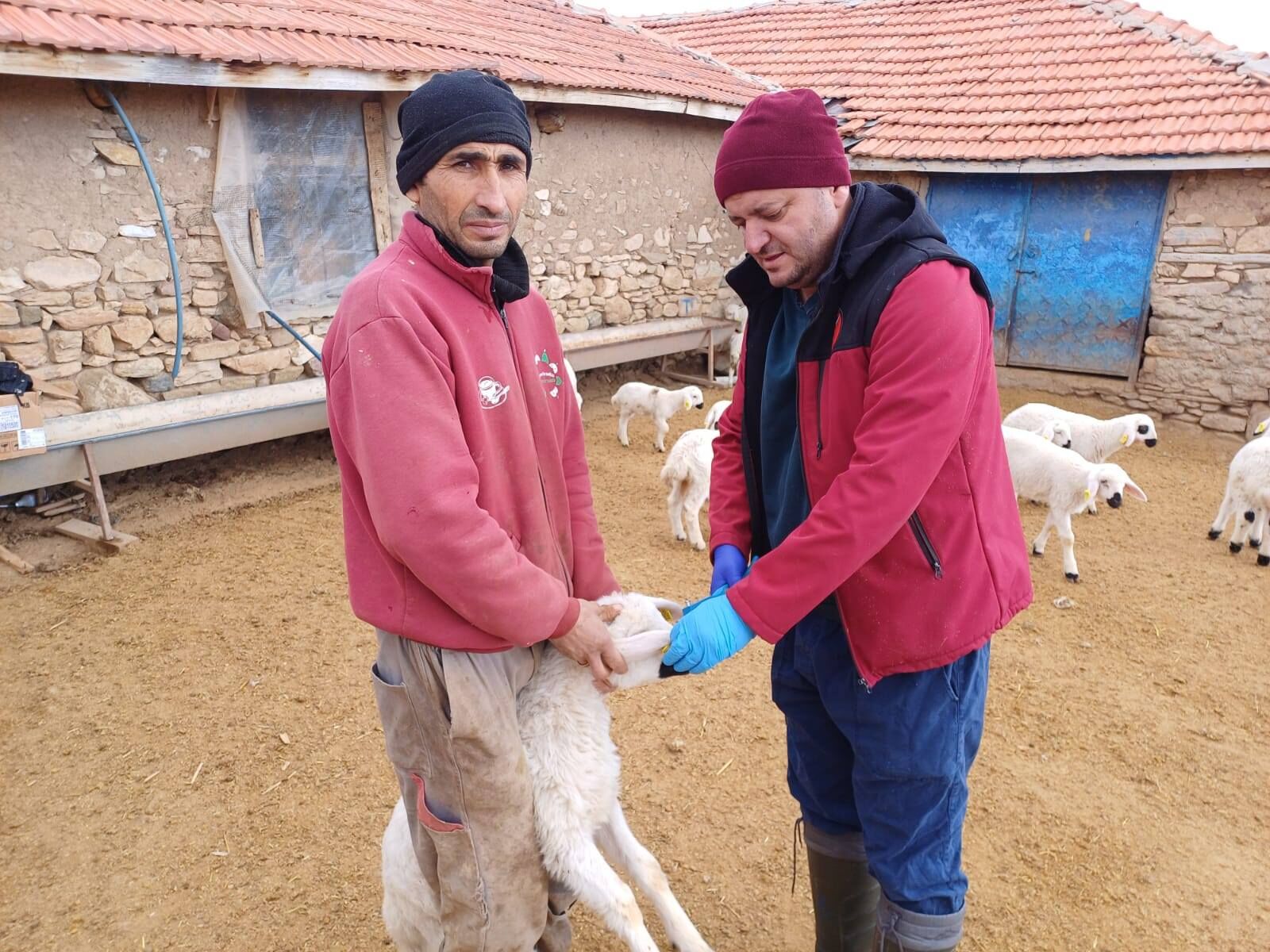 Kırşehir’de Hayvan Sağlığı Için Kararlı Adımlar3