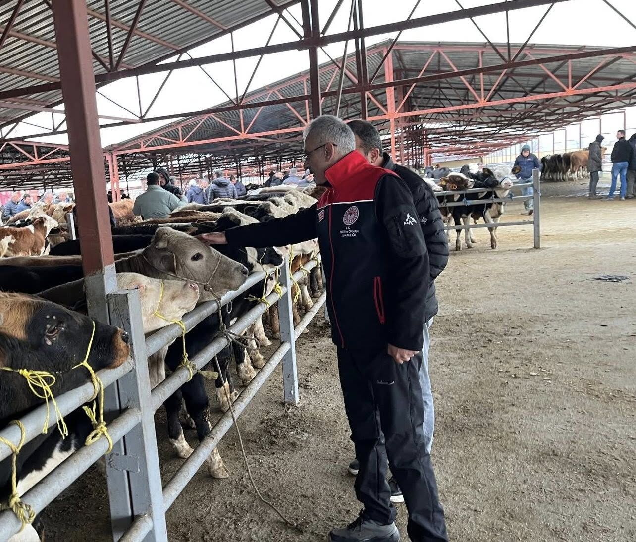 Kırşehir’de Üreticinin Sesi Hayvan Pazarı’ndan Yükseldi2