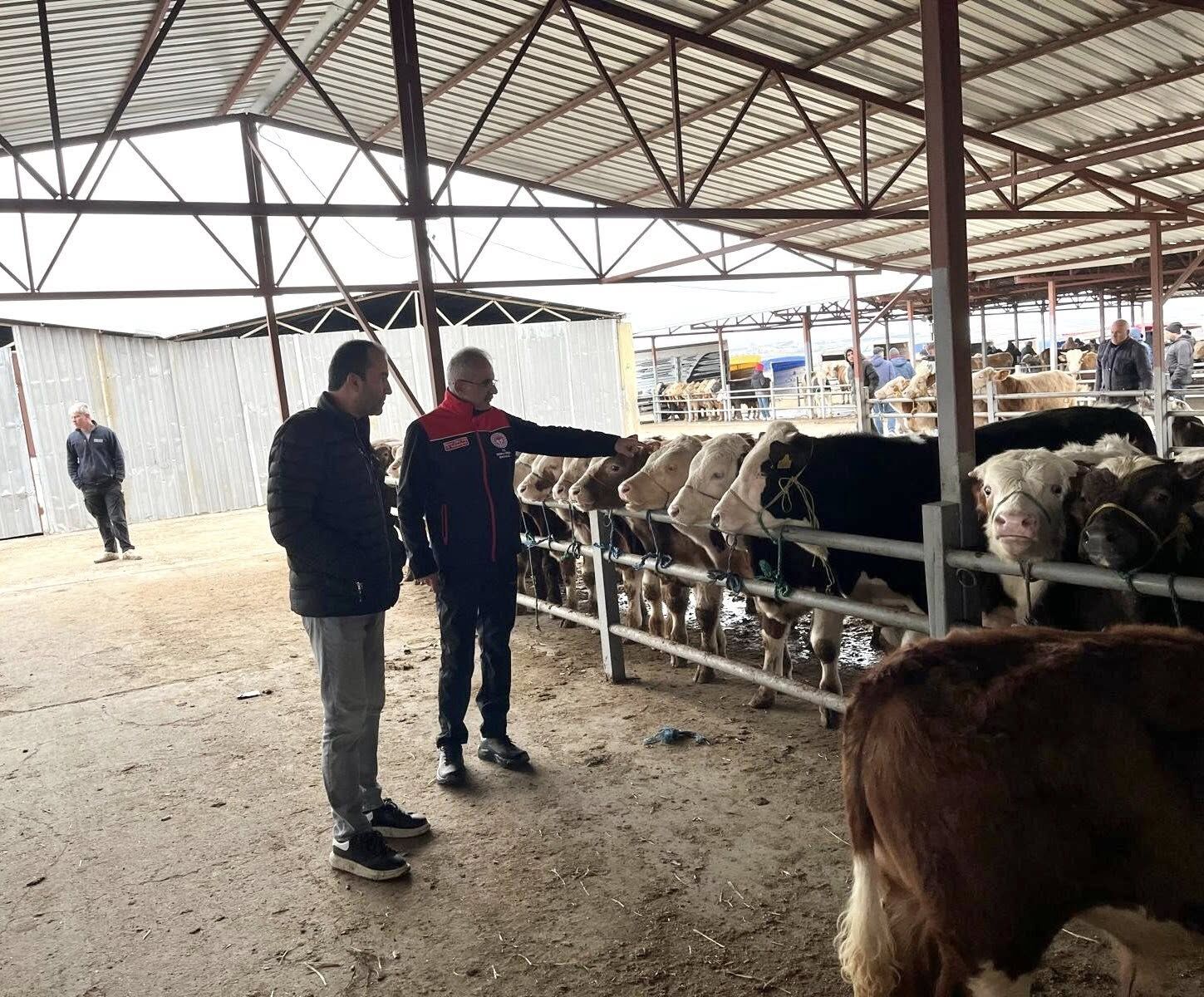 Kırşehir’de Üreticinin Sesi Hayvan Pazarı’ndan Yükseldi3