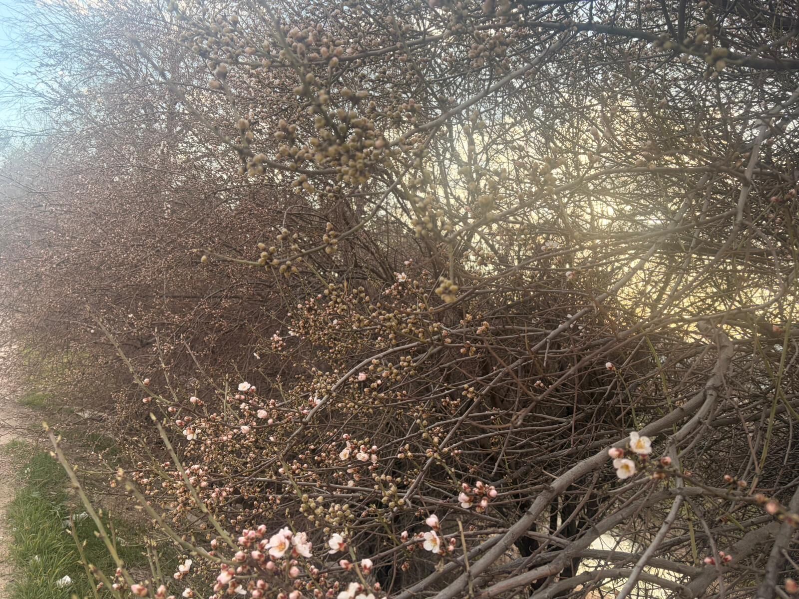 Whatsapp Image 2026 03 14 At 11.27.41 (2)