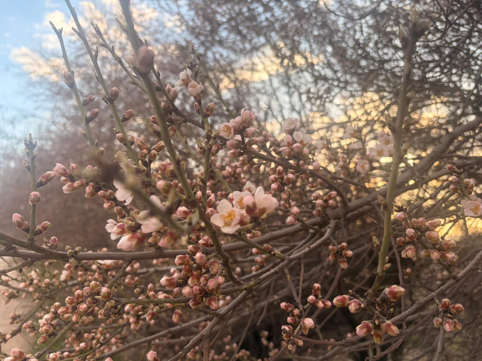 Whatsapp Image 2026 03 14 At 11.27.41