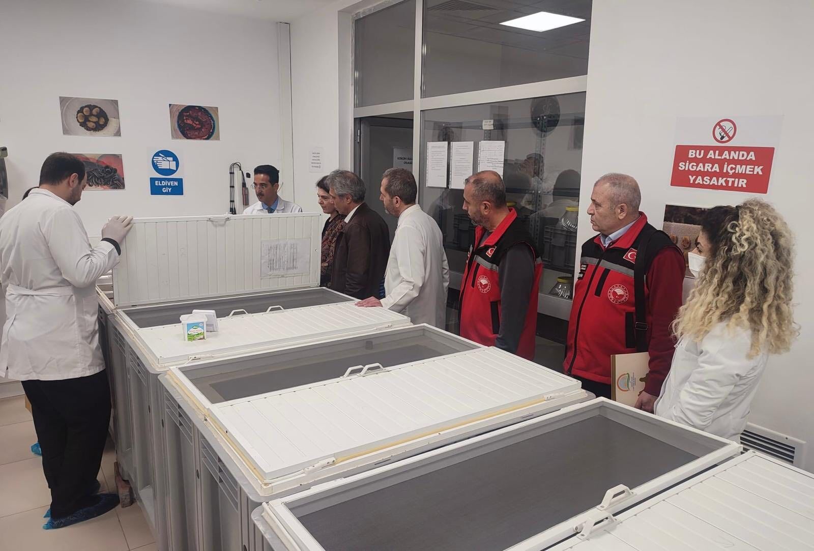 660489207 947279147776849 4900734669382641755 N