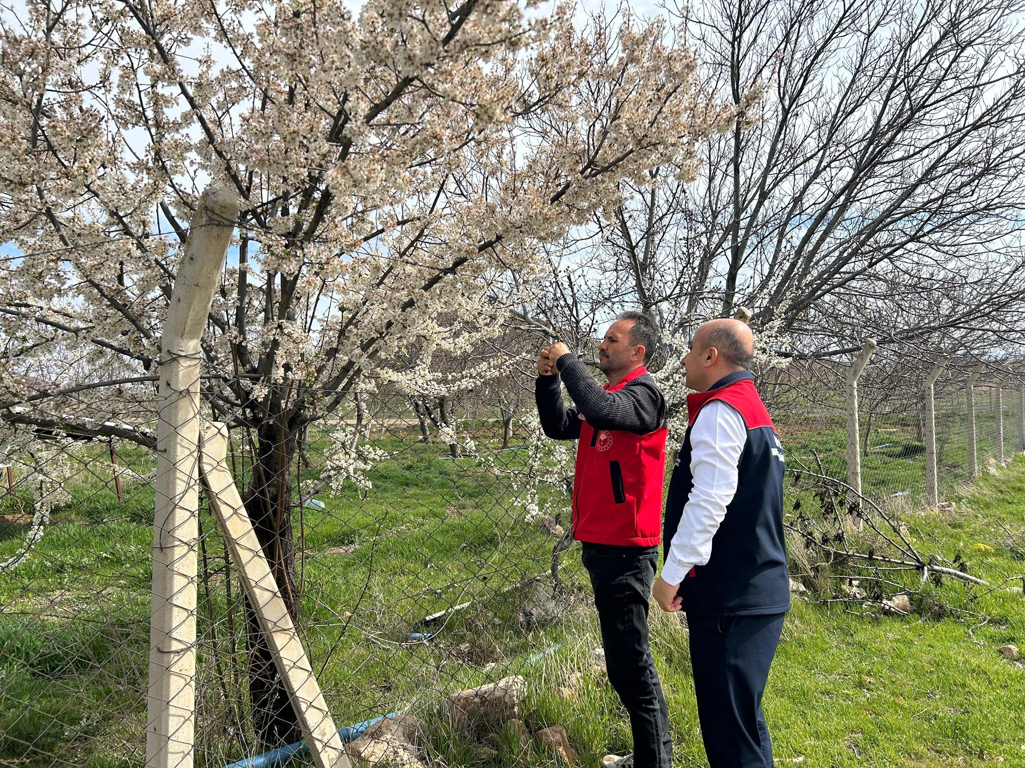 668554487 953654217139342 2395701265879333808 N